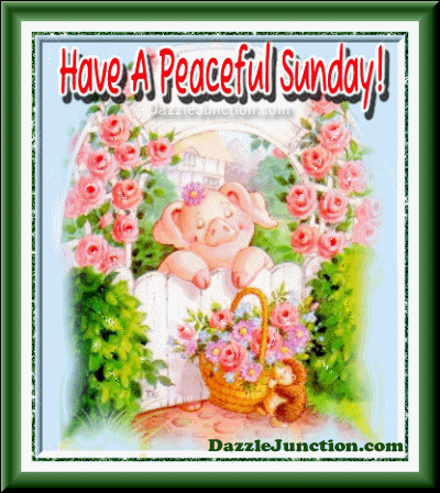 Peaceful Sunday Pig