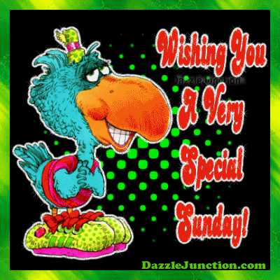 Special Sunday Bird