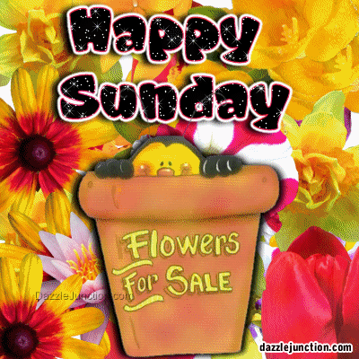 Sunday