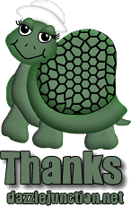 Thanks Turtle