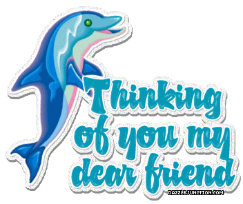 Thinking Dolphin
