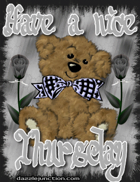 Bear Nice Thursday image