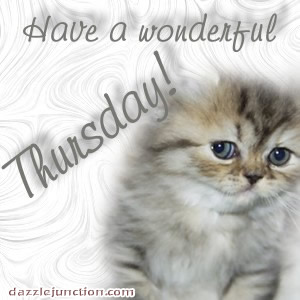 Cat Thurs Dj