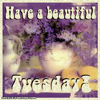 Beautiful Tuesday Flower
