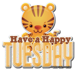 Happy Tuesday Cat