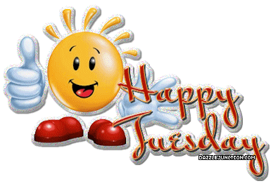 Happy Tuesday Sunny
