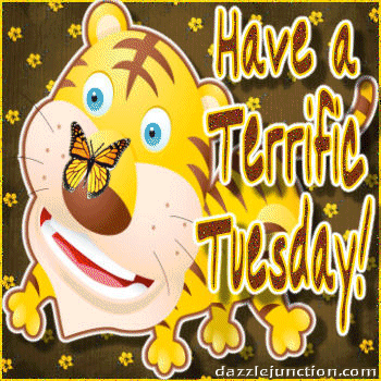 Tuesday Cute Tiger
