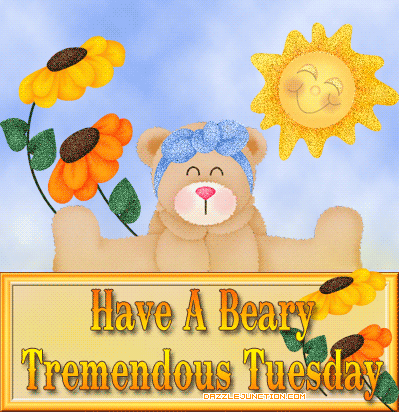 Beary Tremendous Tuesday image