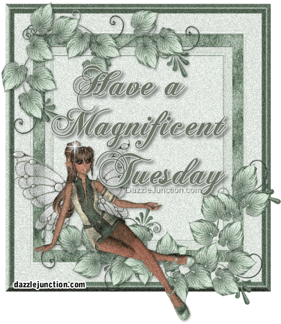 Have a Magnificent Tuesday image