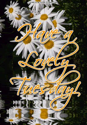 Lovely Tuesday Water