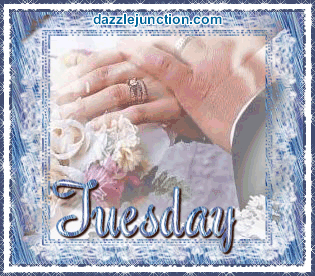 Wedding Tuesday image