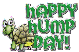 Hump Day Turtle