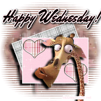 Wednesday Giraffe image