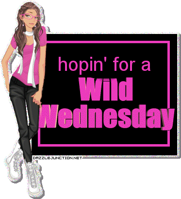 Wednesday image