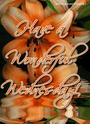 Wednesday image