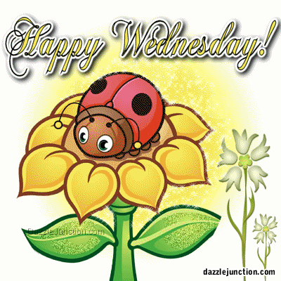 Wednesday
