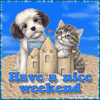 Cat Pup Weekend image